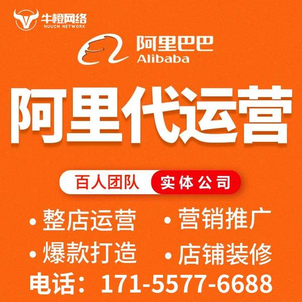 海城电商代运营