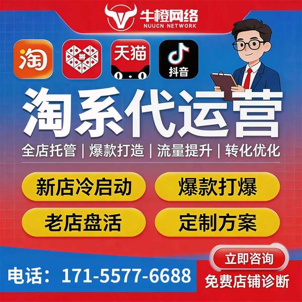 海城电商代运营
