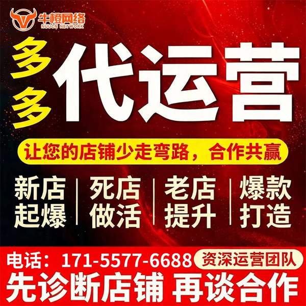 海城电商代运营
