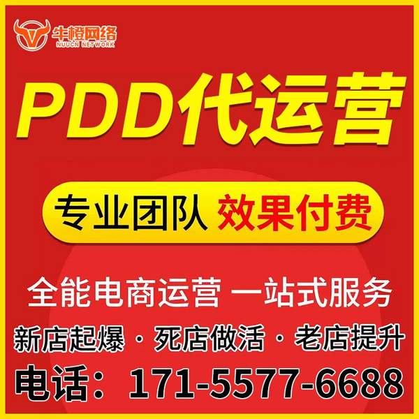 海城电商代运营