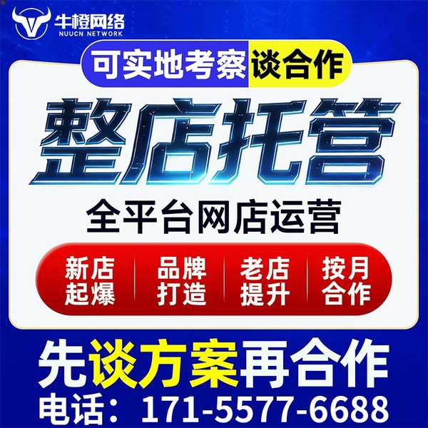 海城电商代运营