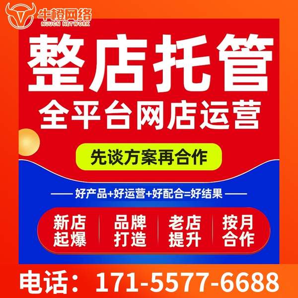 海城电商代运营