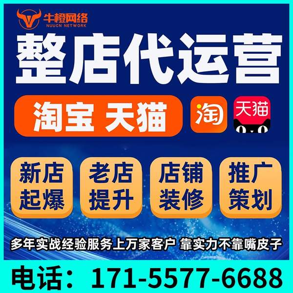 海城电商代运营