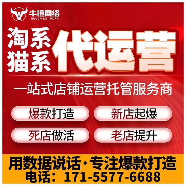 海城电商代运营